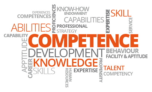 NoseyFox.com Experience Tag Cloud