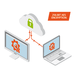 NoseyFox remote access helps us help you to solve any issues you may have